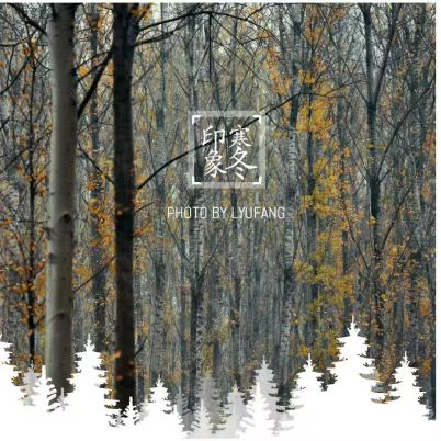 6776099c210b2.png 6776099c210b2.png